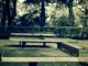 table tennis