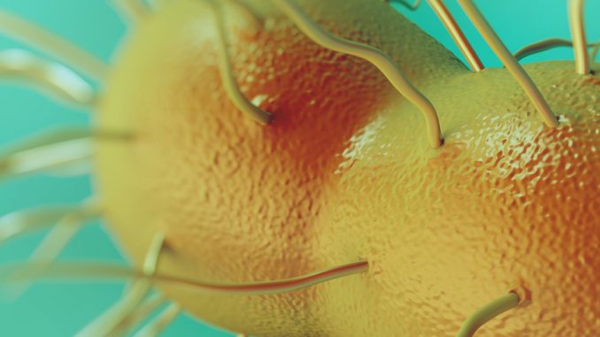 Super-gonorrhoea