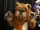 Ewok
