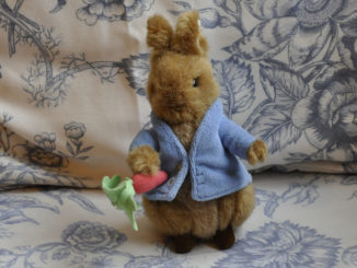 peter rabbit