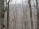 Exclusive: Blair Witch footage FAKE!