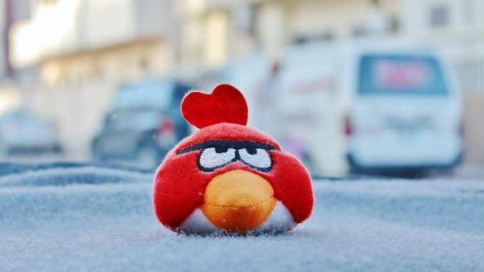 angry birds