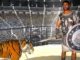 gladiator