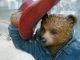 paddington 3