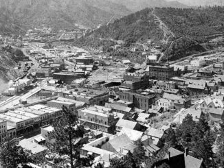 deadwood