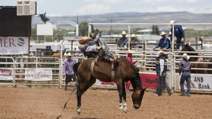 the rider