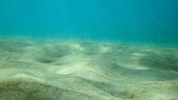under the sea
