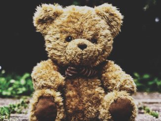 teddy bear
