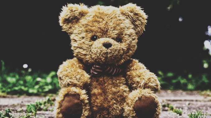 teddy bear