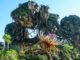 Na'vi