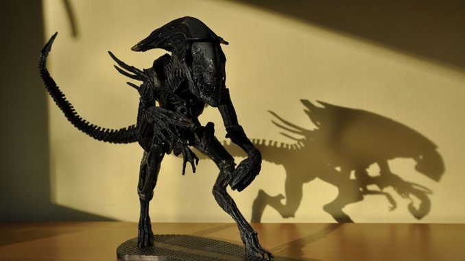 ripley
