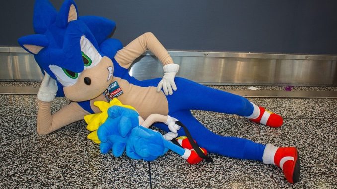sonic the hedgehog