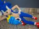 sonic the hedgehog