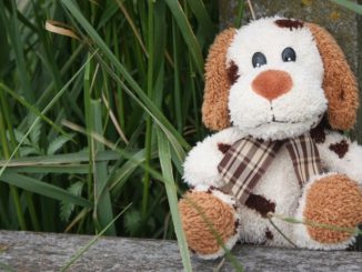 pound puppies