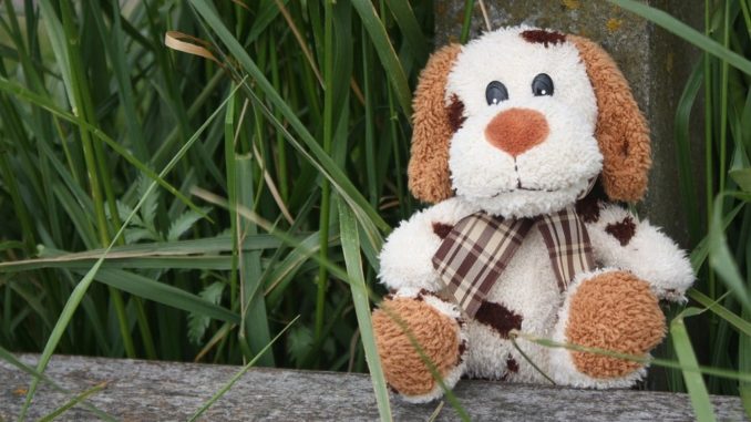 pound puppies