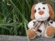 pound puppies