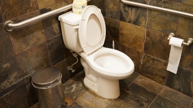 toilet