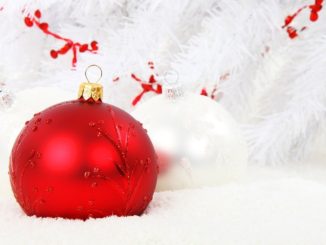 reindeer