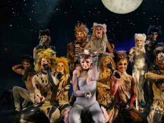 cats
