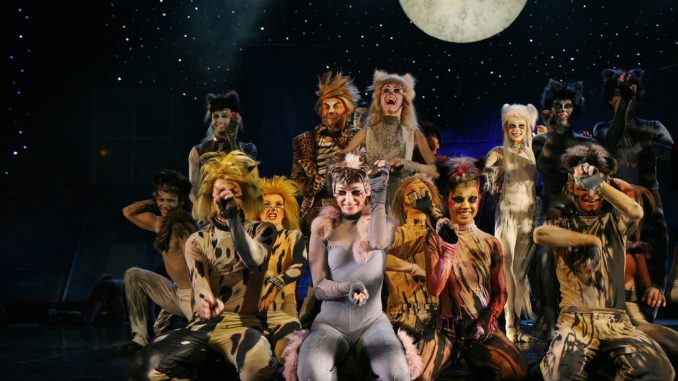 cats