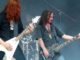 carcass