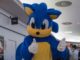 Sonic The Hedgehog