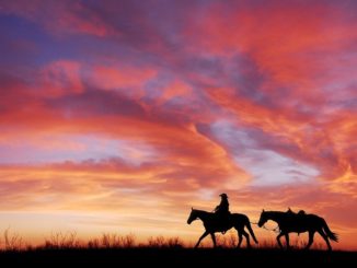 Season 3 of westworld to feature westworldworld