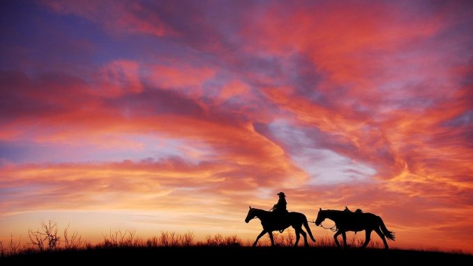 Season 4 of Westworld set in new world in which Westworld renewed for another season
