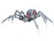 Scientists confident they've recovered all misplaced radioactive spiders