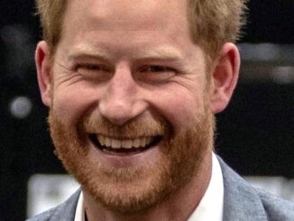 Prince Harry’s first Netflix film is buddy cop comedy with Ashton Kutcher