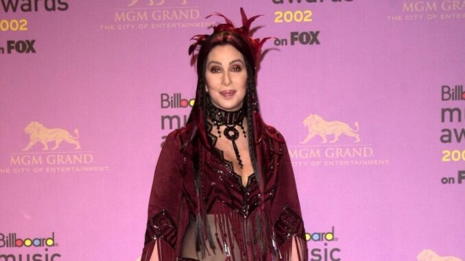 Cher vs Godzilla vs Kong trailer debuts new addition to franchise