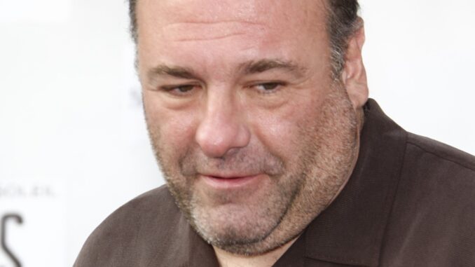 James Gandolfini who played Tony Soprano who won't be in the Many Saints of Newark