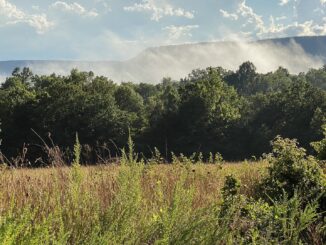 field in the ozarks where minari is set