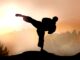 Silhouette of a man doing karate on a mountain cobra kai prequel