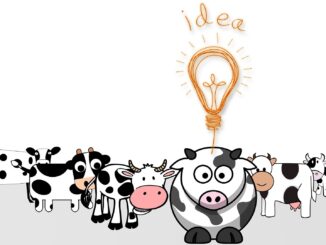 some cartoon cows, one of which has a lightbulb over her headand is having an idea New celebrity children’s book