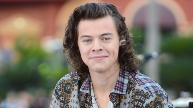 Harry Styles with long hair from shoulders up Chirs Pine
