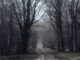 spooky track into a forest. Black and white. Star Wars origin movie