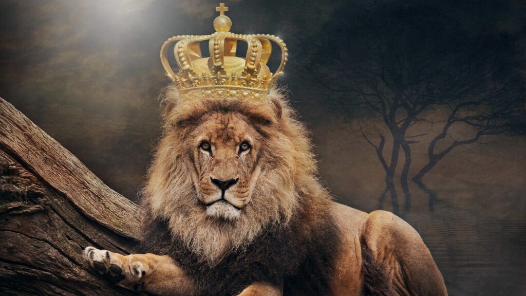 A lion pictured with a crown on his head. the lion king