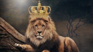 A lion pictured with a crown on his head. the lion king