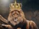 A lion pictured with a crown on his head. the lion king
