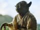 A low level shot of a yoda toy to make it look like it's real. E.T.
