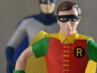 robin