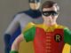 robin
